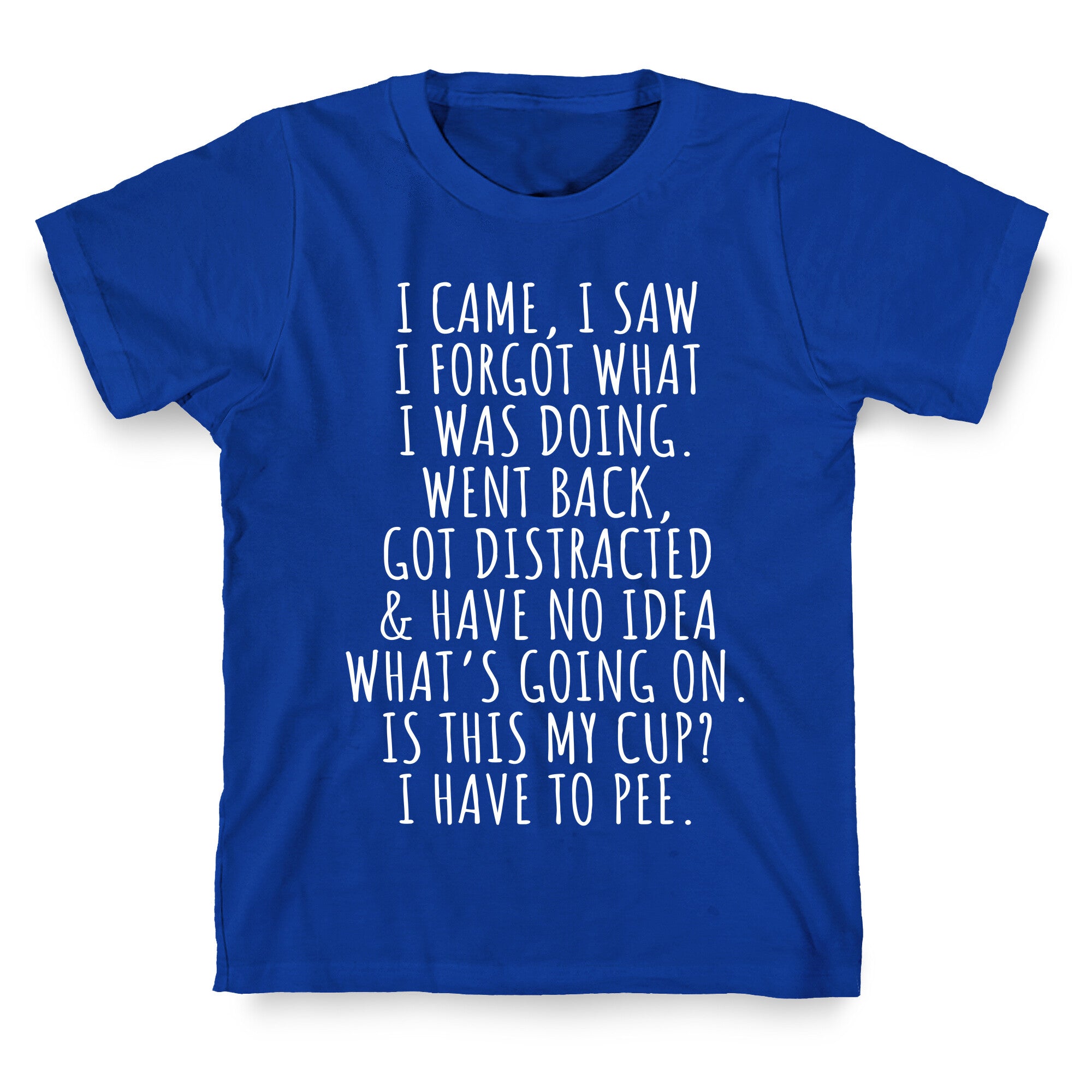 I Came I Saw I Forgot What I Was Doing T-Shirt
